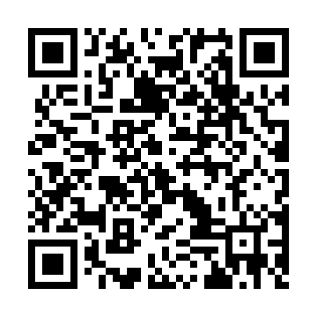 QR code for 95N004