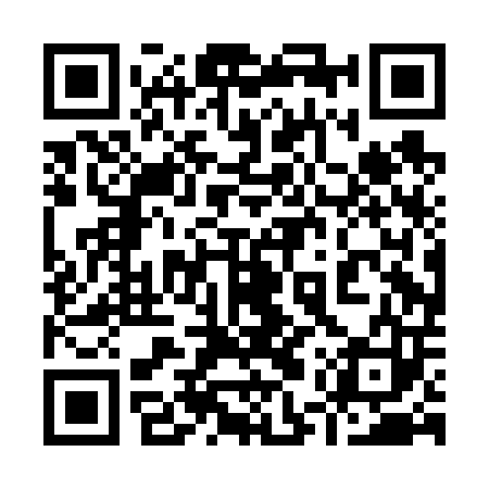 QR code for 95PF03