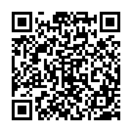 QR code for 95PO06