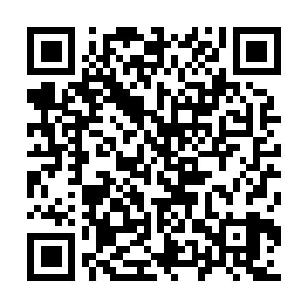 QR code for 95PX29