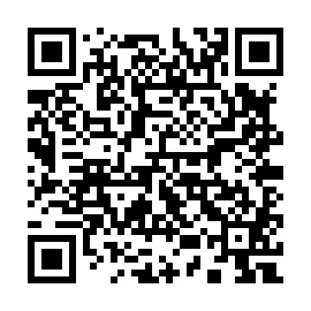 QR code for 95PX81