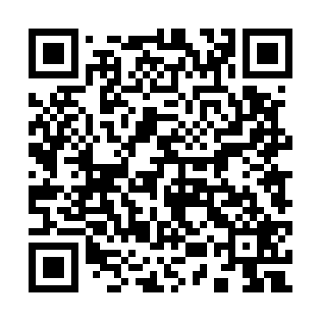 QR code for 95T529