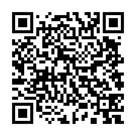 QR code for 95V438