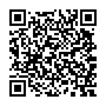QR code for 95VT81