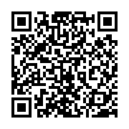 QR code for 95W729