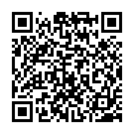 QR code for 95WX13