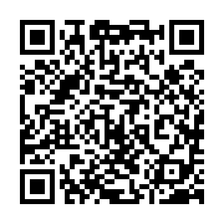QR code for 95X599