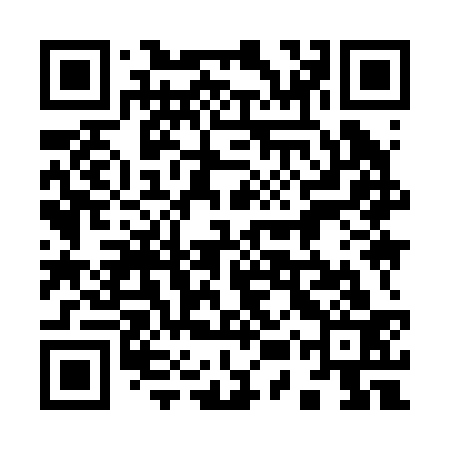 QR code for 95Y233