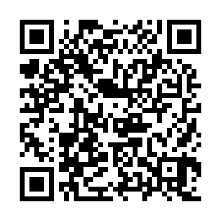 QR code for 95Z960