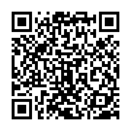 QR code for 95ZL09