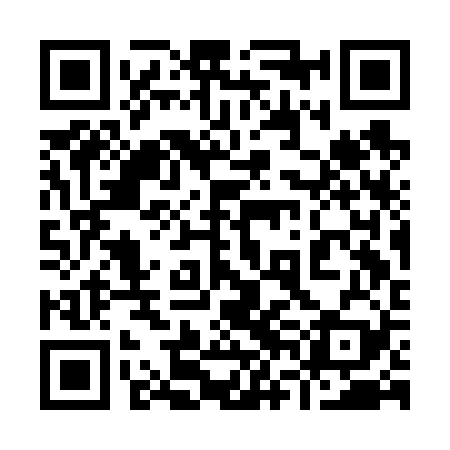 QR code for 96CF29