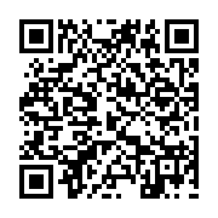 QR code for 96D393