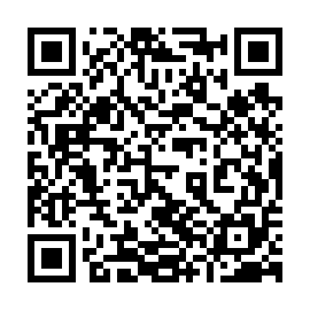 QR code for 96EV55