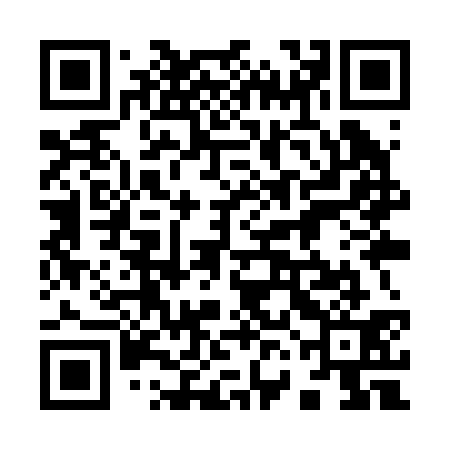 QR code for 96IR31