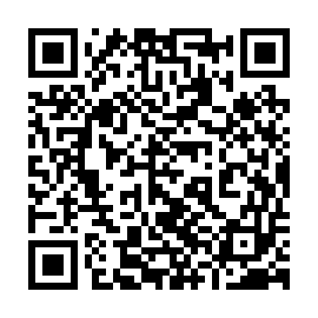 QR code for 96IR53