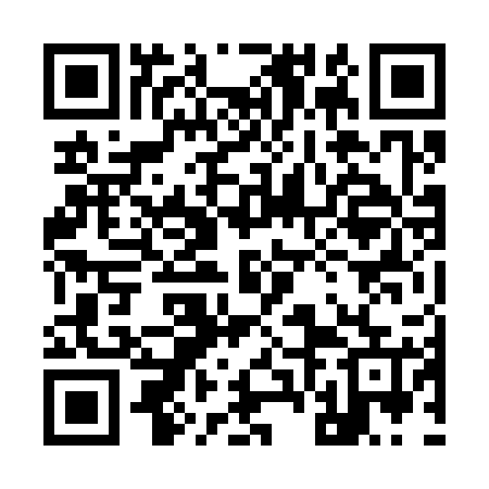 QR code for 96N325