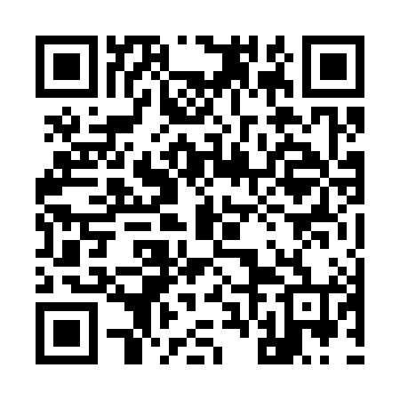 QR code for 96N384
