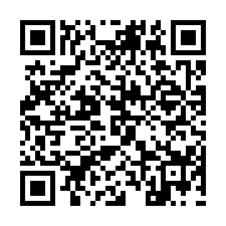 QR code for 96NS19