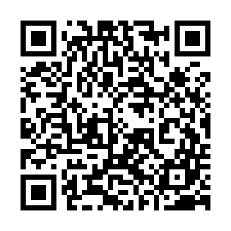 QR code for 96SI47
