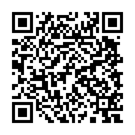QR code for 96T411
