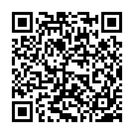QR code for 96WS17