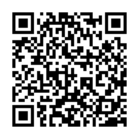 QR code for 96X338