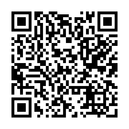QR code for 96Z389