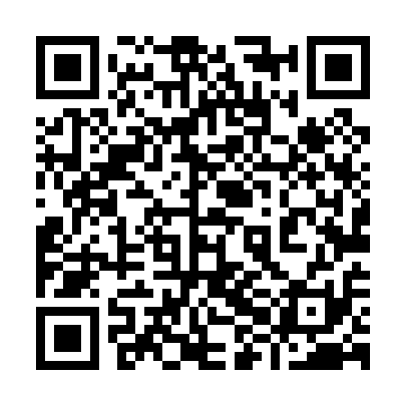 QR code for 98L011