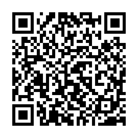 QR code for 99Z291