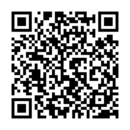 QR code for 99ZV01