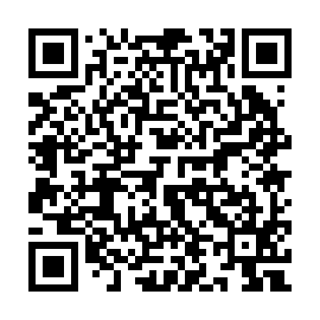 QR code for 9L1295