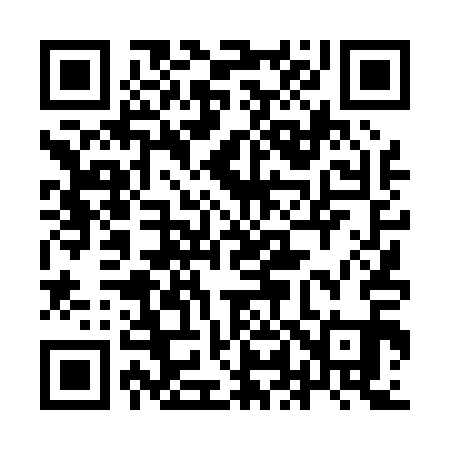 QR code for 9L4011