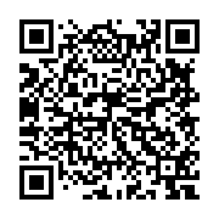 QR code for 9N0811
