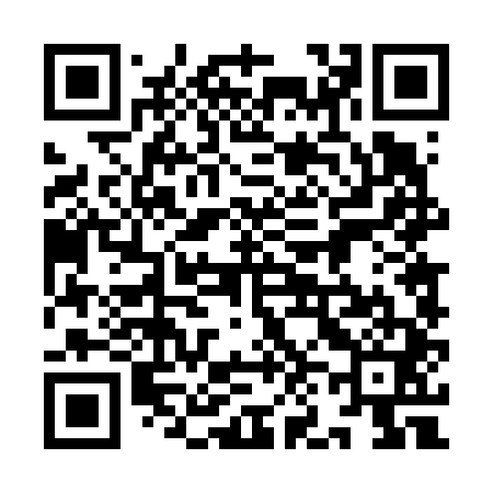 QR code for 9N4641