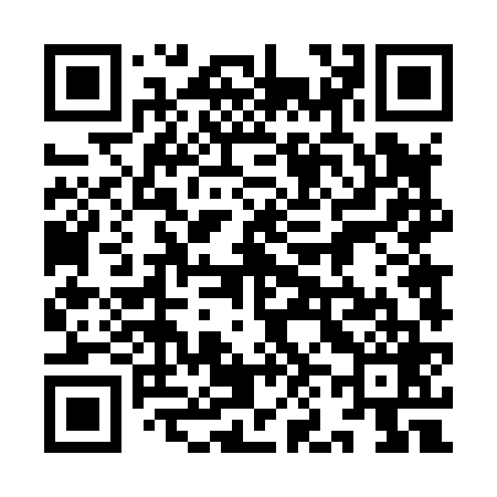 QR code for 9N4869