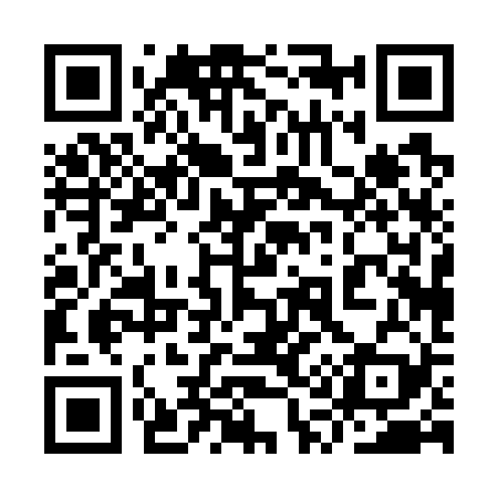 QR code for 9Q0729