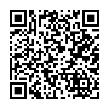 QR code for 9Z4595