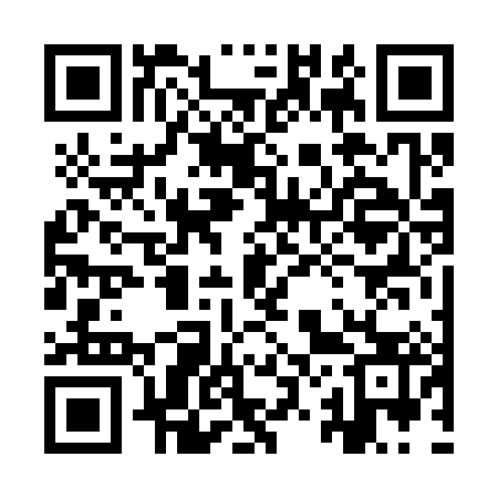 QR code for 9Z6383