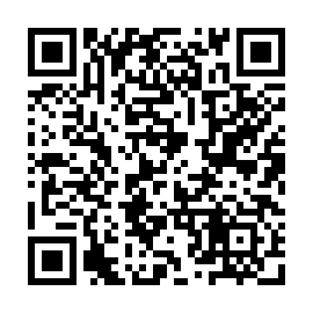 QR code for 9Z8383
