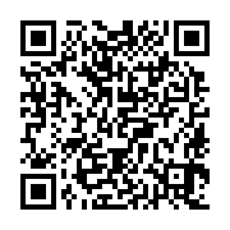 QR code for AAO383