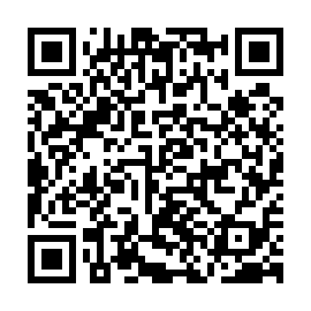 QR code for ANG519