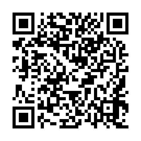 QR code for API958
