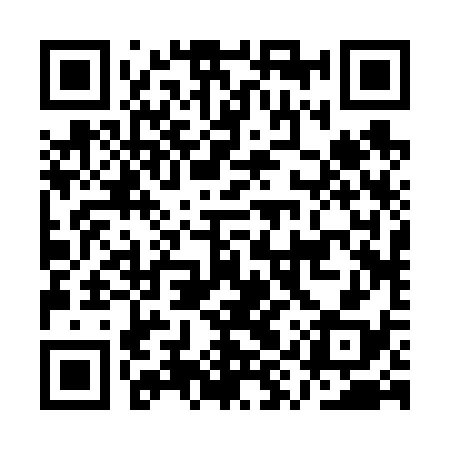 QR code for AYR638