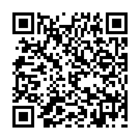 QR code for BAM399