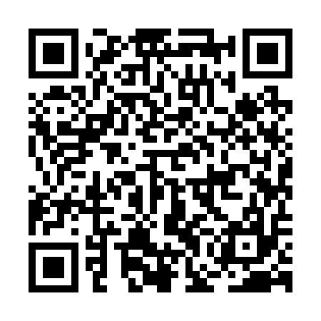 QR code for BGI217