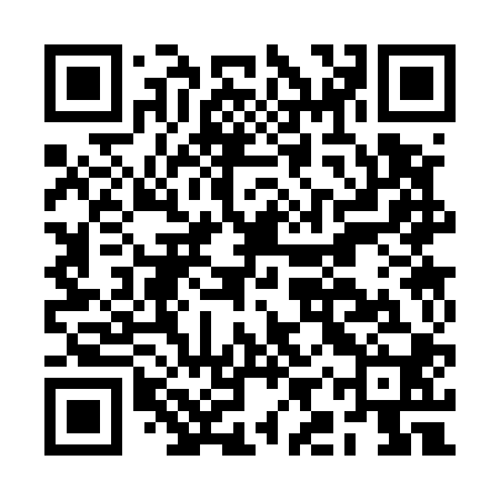 QR code for BIS500