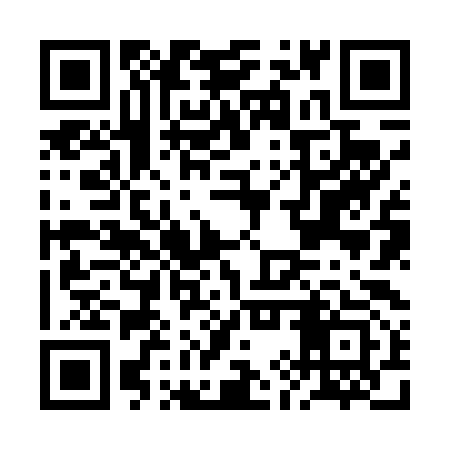 QR code for BIZ493