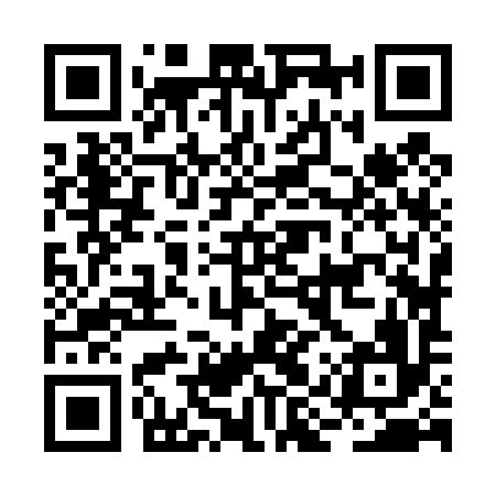QR code for BIZ496