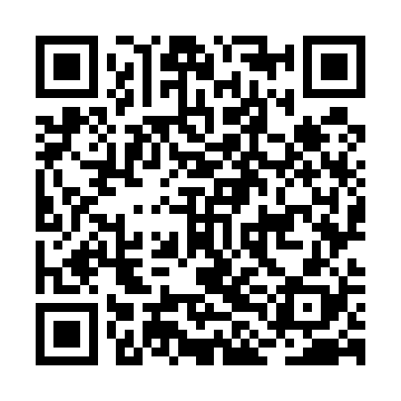 QR code for BLO528