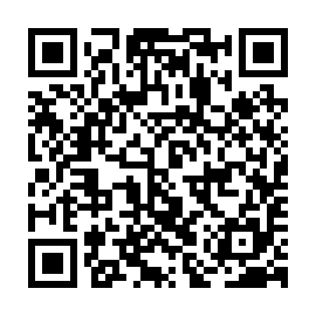 QR code for BMS295